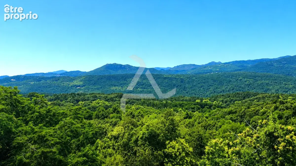 Terrain de 960m2 en zone naturelle dans le village de zonza - photo 1