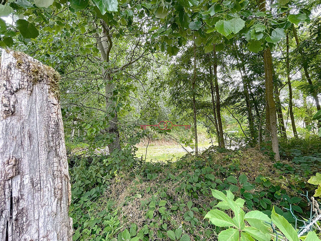 FISMES -Terrain constructible avec grand jardin-1 870 m² - photo 11