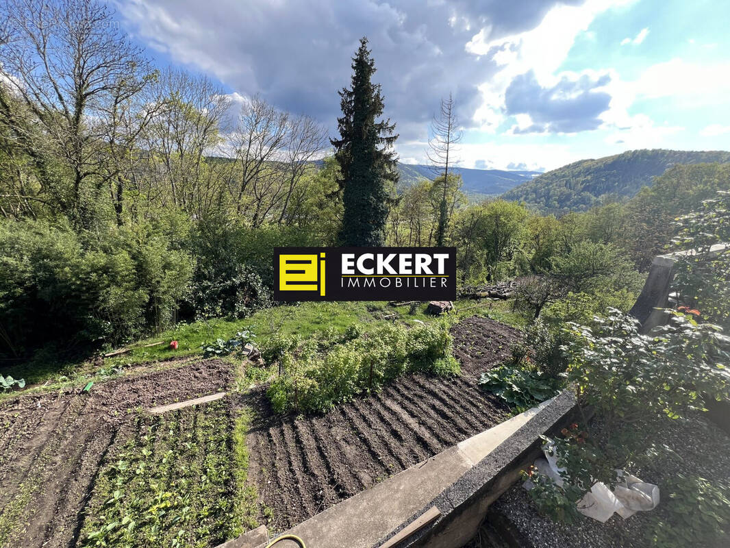 Terrain à HEILIGENBERG