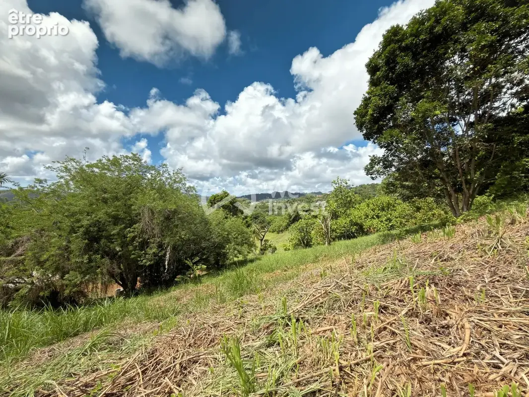 Terrain 973 m² à vendre à Le Vauclin (97280) - photo 8