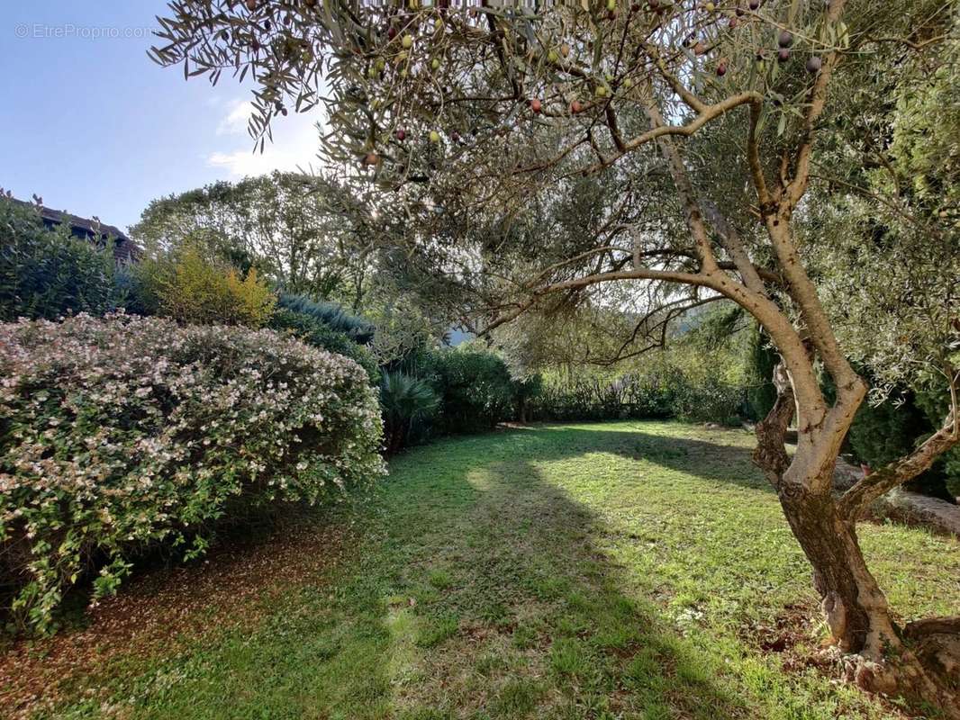 Maison à ALET-LES-BAINS