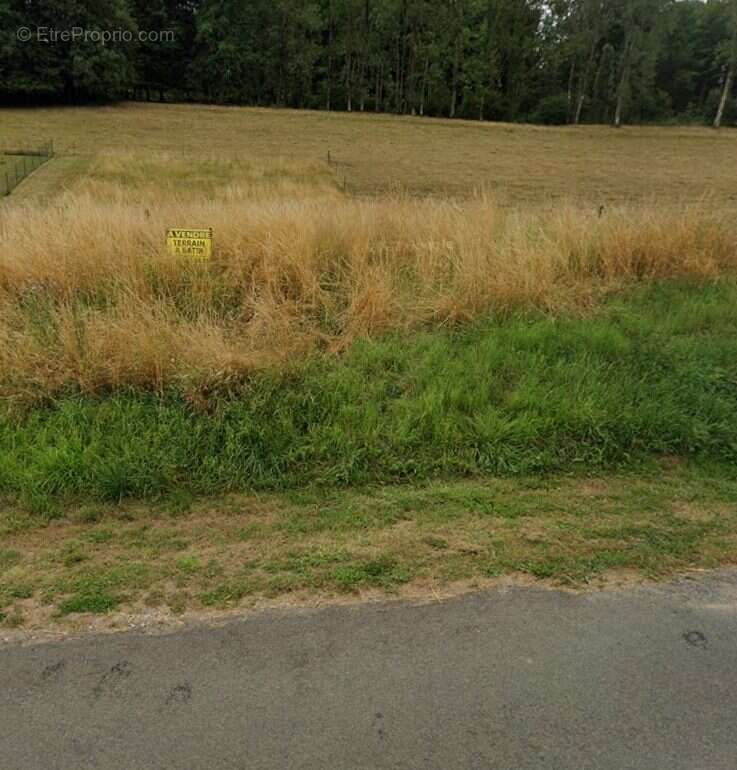 Terrain à SAPOGNE-ET-FEUCHERES