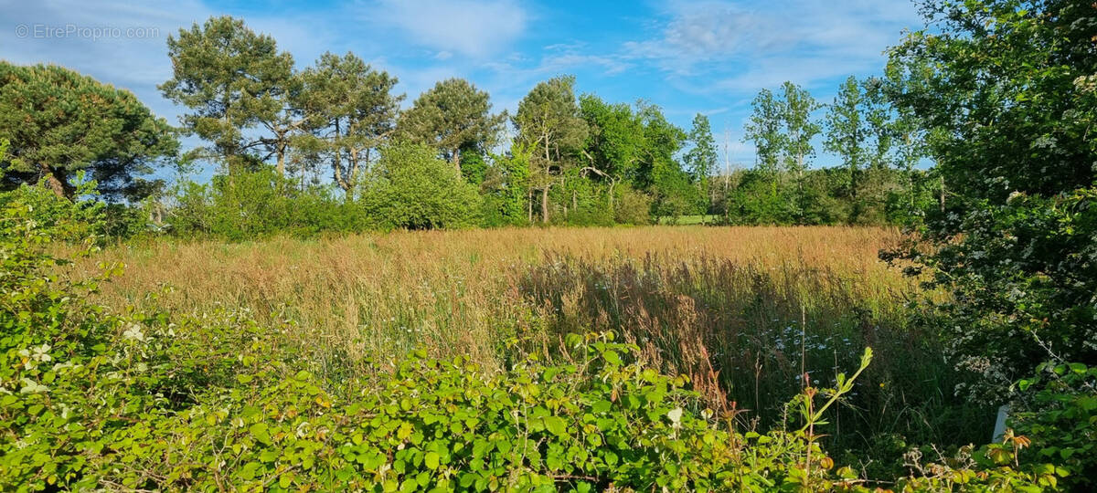 Terrain à SAINTE-FOY