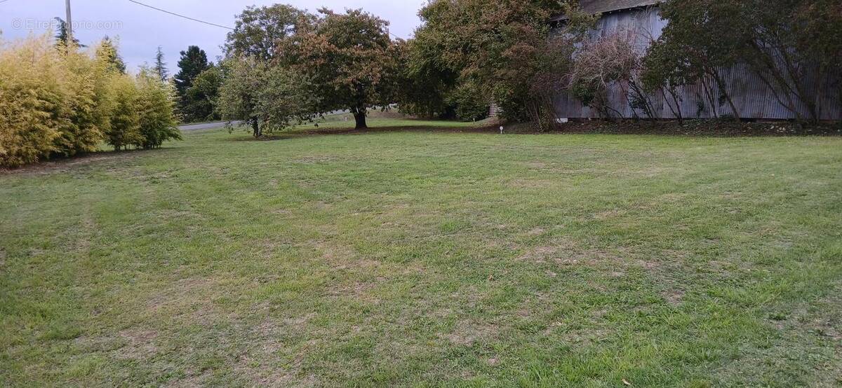 Photo 1 - Terrain à SAINT-LEGER-DE-MONTBRILLAIS