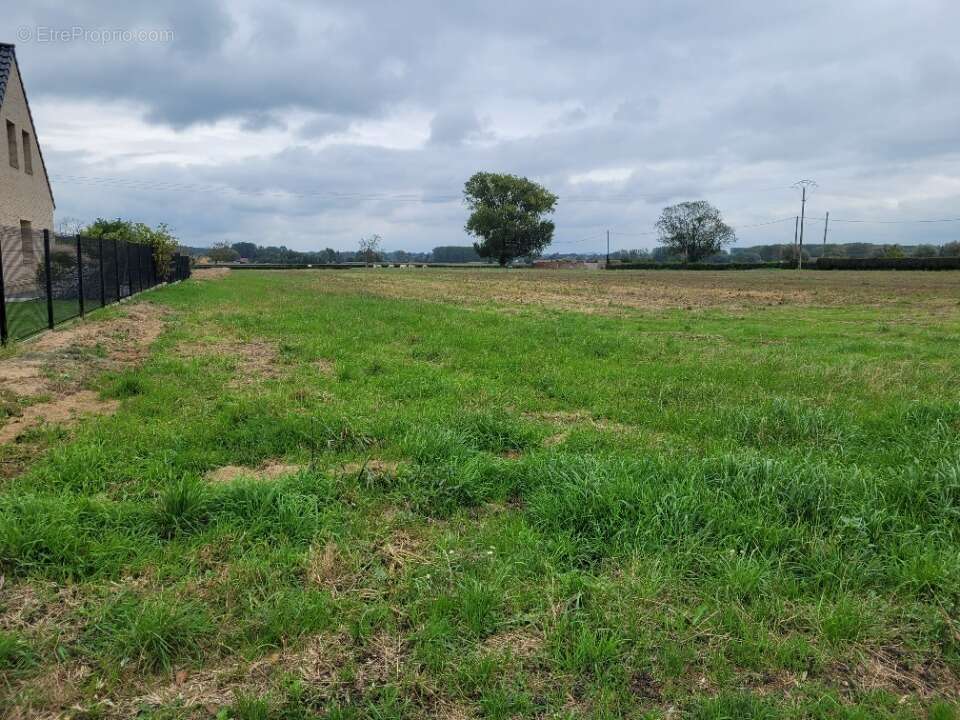Terrain à SAINT-OMER
