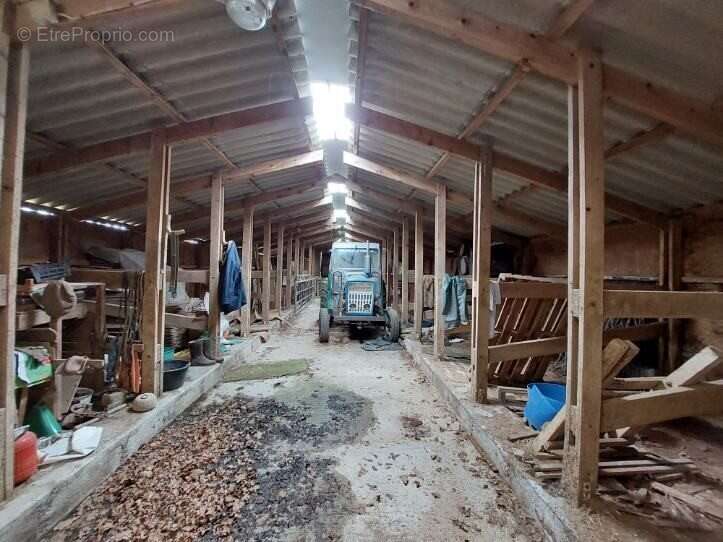 Terrain à SAINT-DENIS-LE-GAST