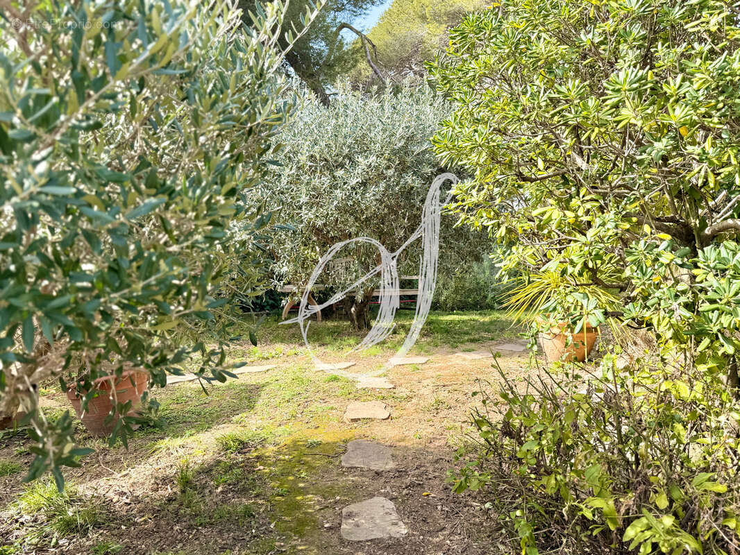 Maison à MONTPELLIER