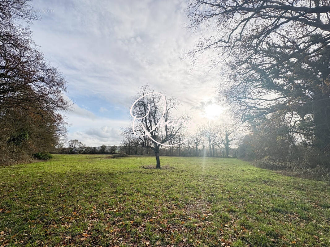 Terrain à SAINT-GEORGES-EN-AUGE