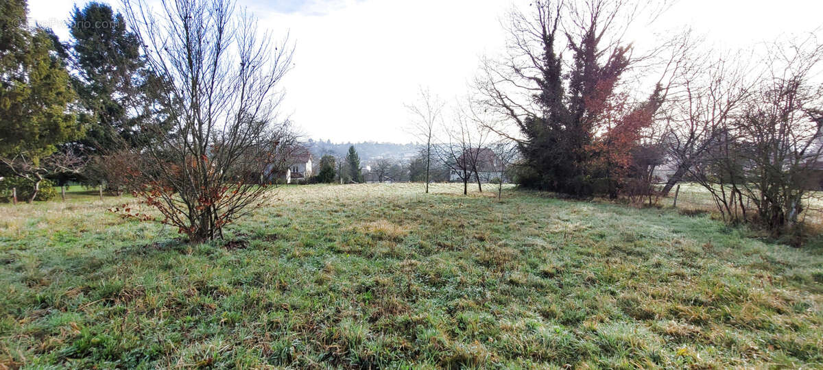 Terrain à RIBERAC