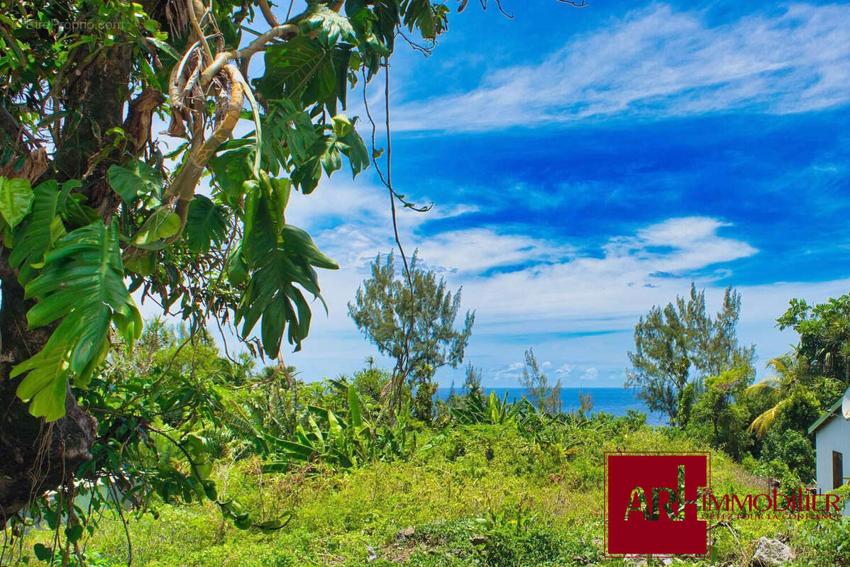 Terrain à SAINTE-ROSE