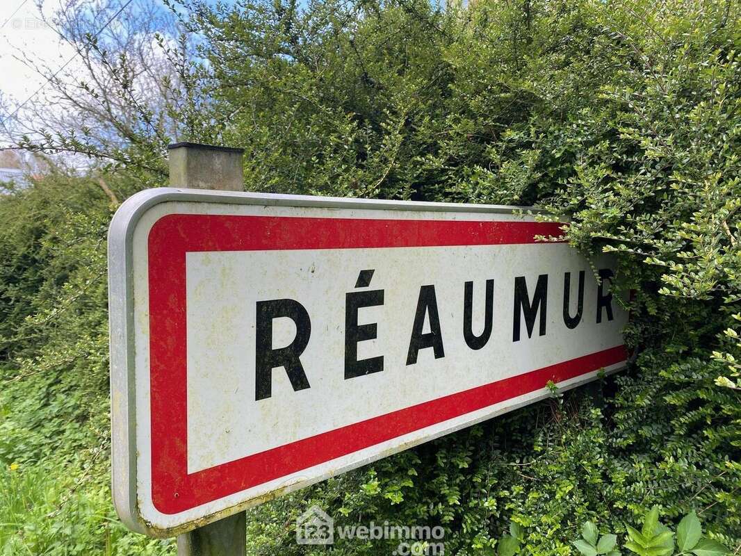 Terrain 1100 m² à Reaumur  - photo 26