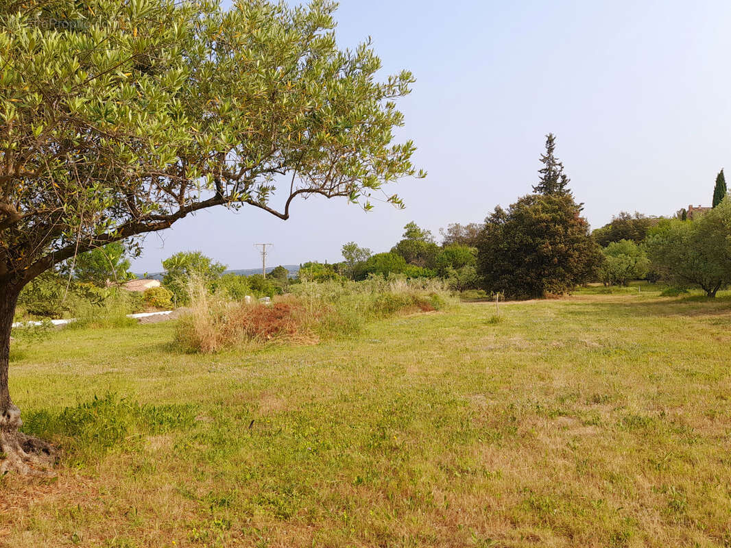 Terrain constructible - photo 3