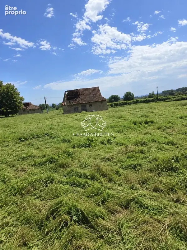Terrain 1 606 m² à vendre à Savigny-Sur-Seille (71440) - photo 3