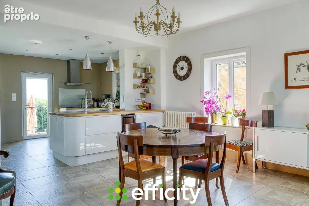 Maison 7 pièces 284 m² à vendre à Gleize (69400) - photo 5