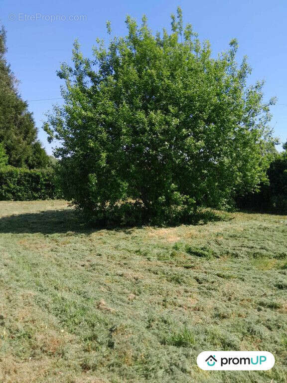 Terrain à MONTEROLIER