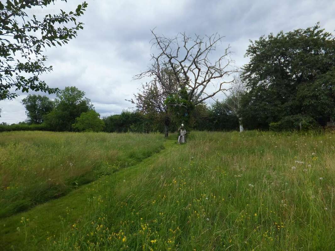 Maison à MERS-SUR-INDRE
