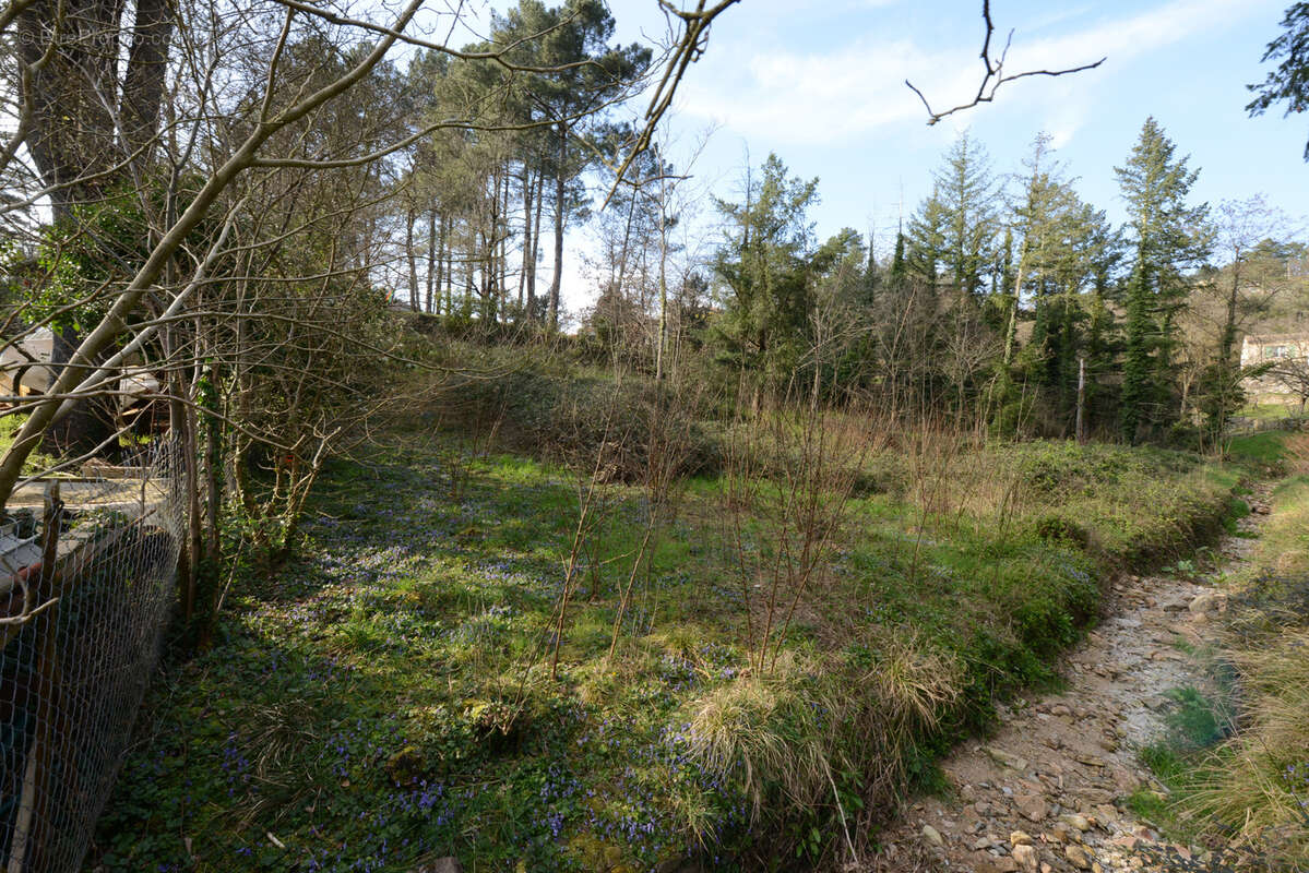 Terrain à LES OLLIERES-SUR-EYRIEUX