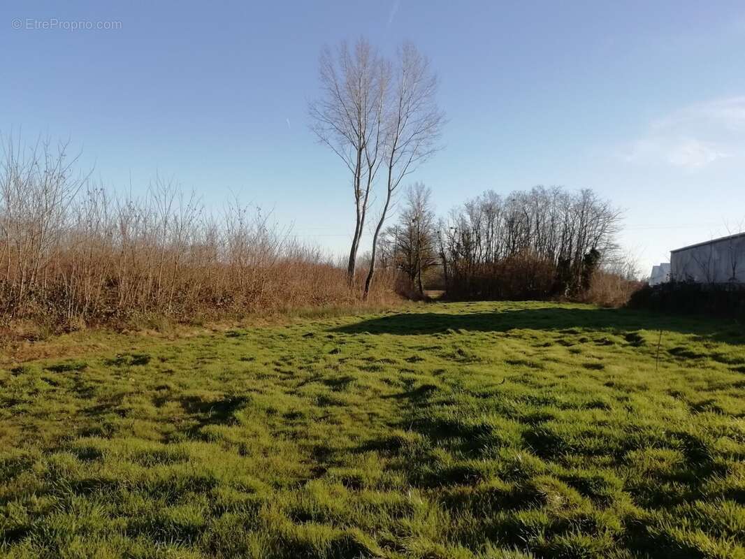 Terrain à PONT-DE-VAUX