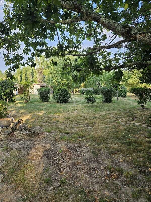 Jolie maison avec dépendance et grand terrain à deux kms de Castelnau d'Auzan - photo 4
