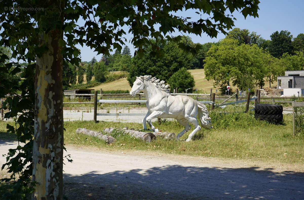 Haras du mas de meyrie - photo 24