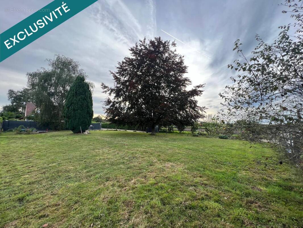 Photo 1 - Terrain à MAUREPAS
