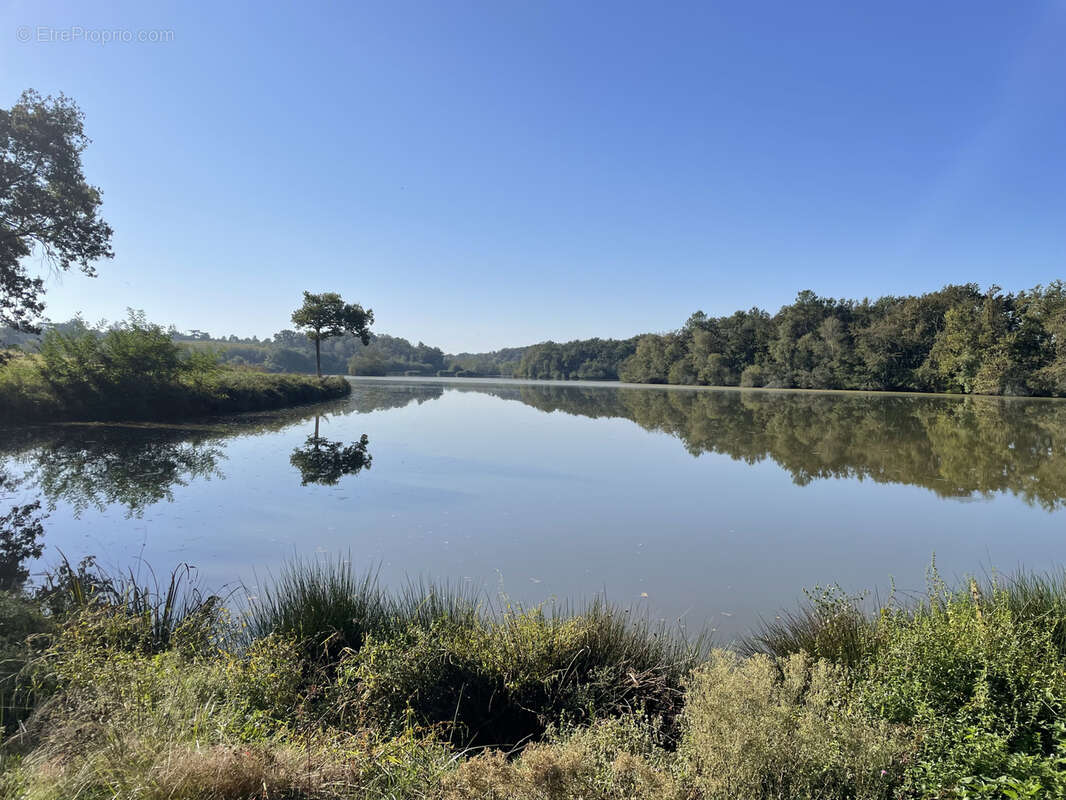 Landes   Propriété idéale pour pêche et chasse - photo 13