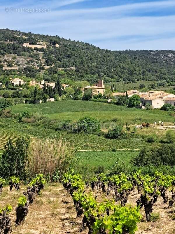 Terrain à MONTPEYROUX