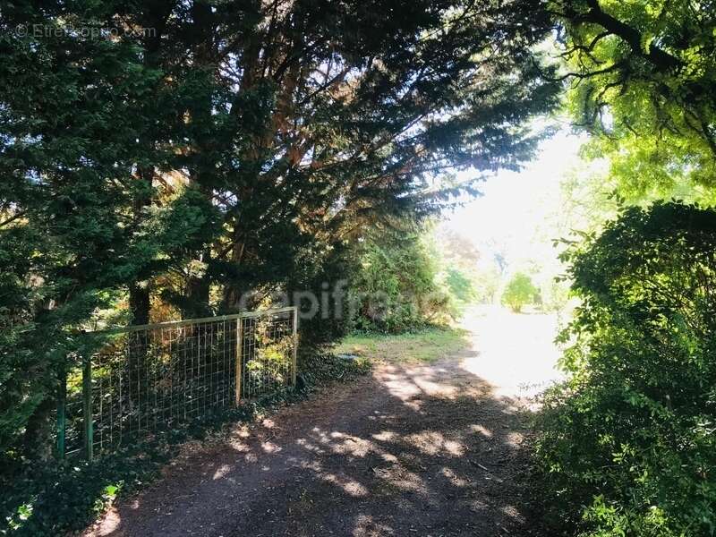 Terrain à LE CHAUTAY