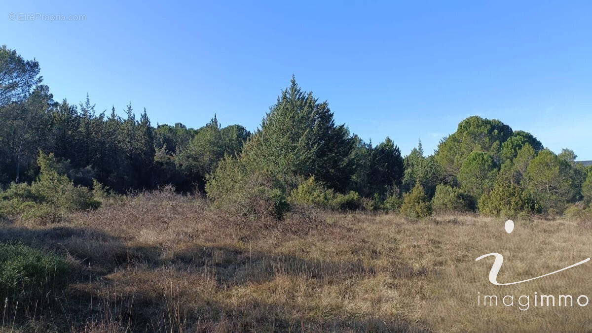 Terrain à MONTARNAUD