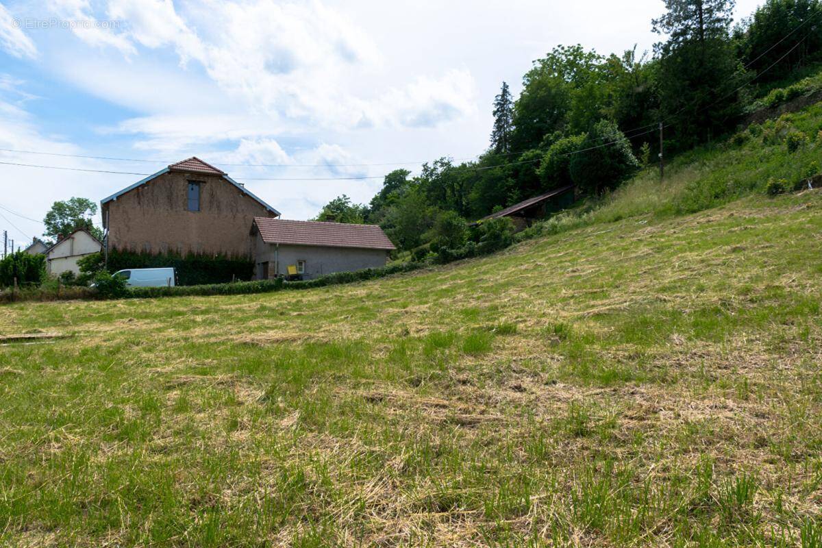 Terrain à ROUGEMONT