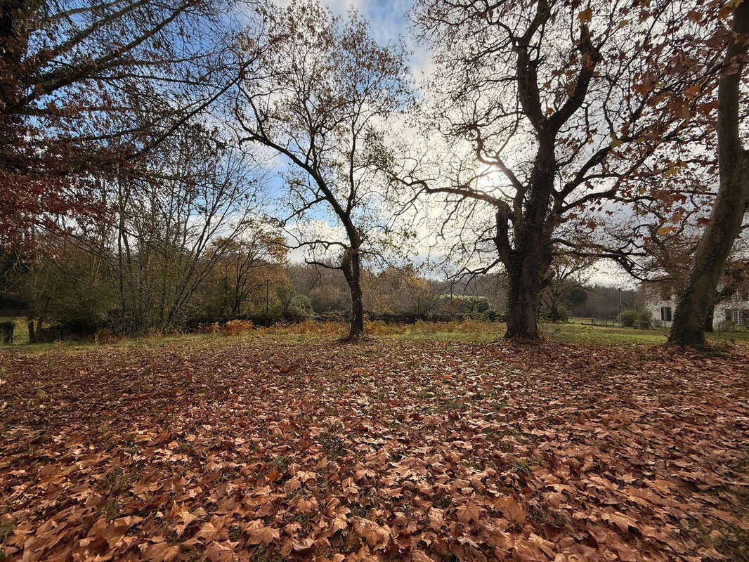 Terrain à UCHACQ-ET-PARENTIS