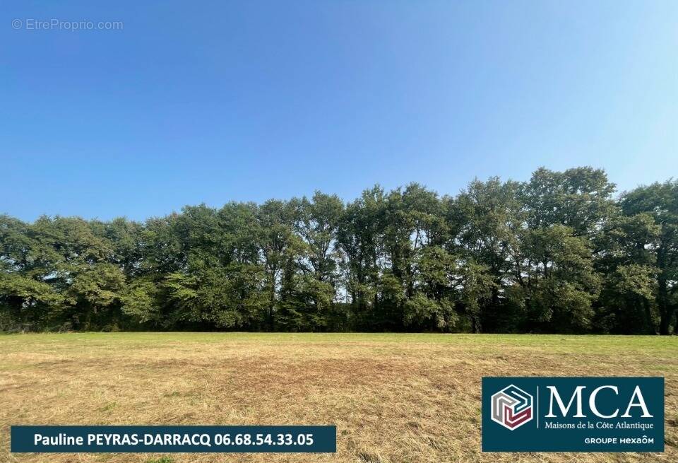 Terrain à VIELLE-TURSAN