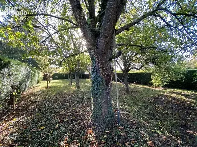 Maison 6 pièces 130 m² à vendre à Ressons-Sur-Matz (60490) - photo 4