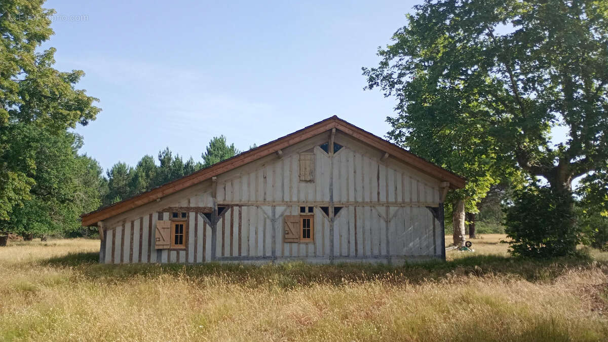 Onesse-laharie - photo 12
