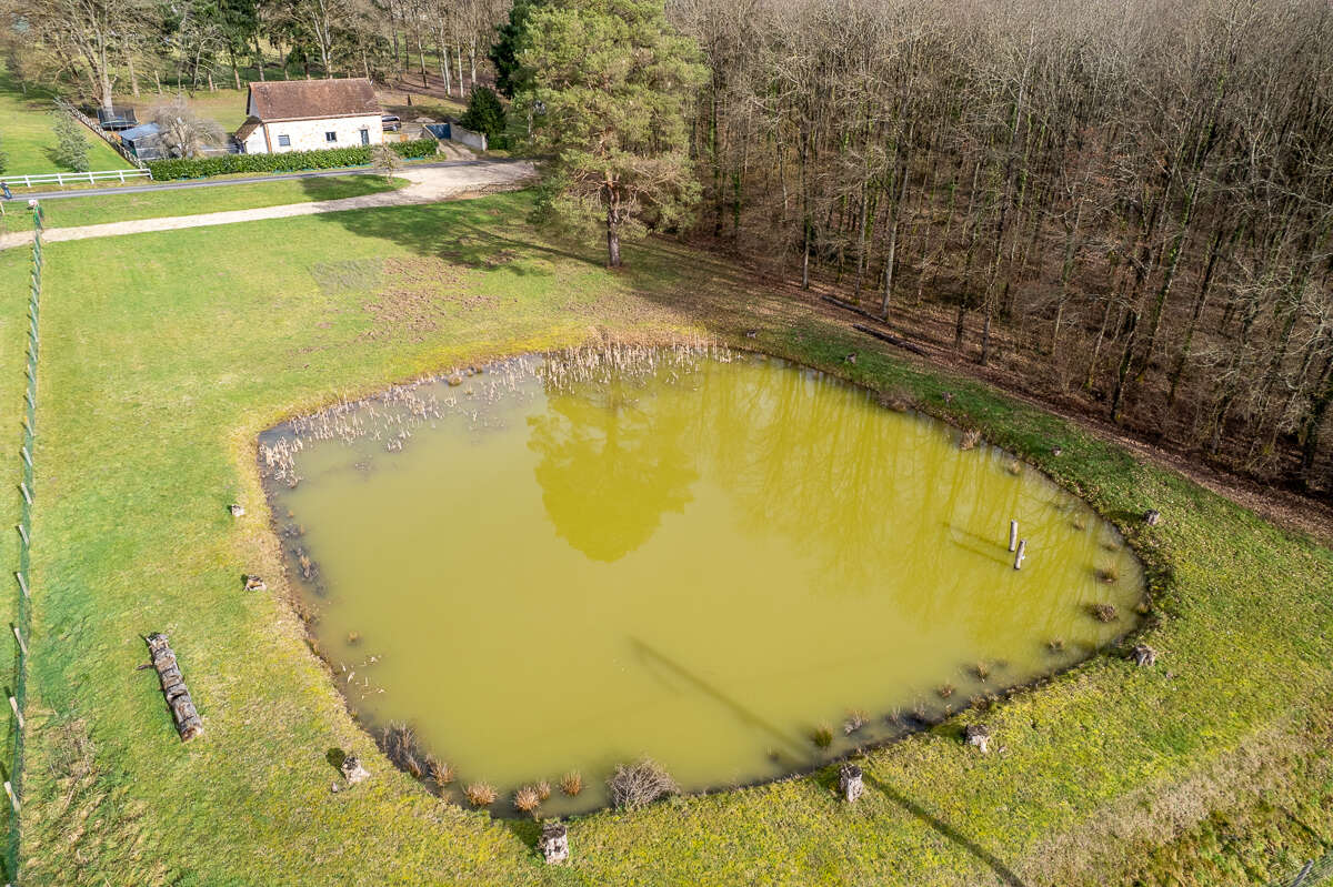 Terrain constructible - Thenioux, avec un étang - 4322 m²  - - photo 5