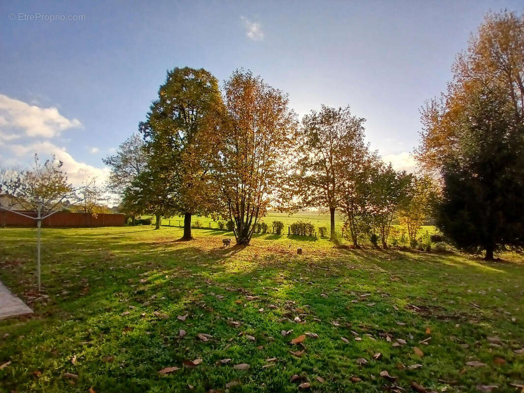 20251103_163718 - Maison à SAINT-SAUD-LACOUSSIERE