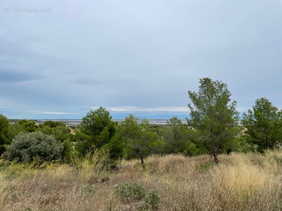 Terrain à FRONTIGNAN