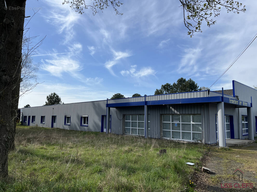 Commerce à SAINT-MARS-LA-BRIERE