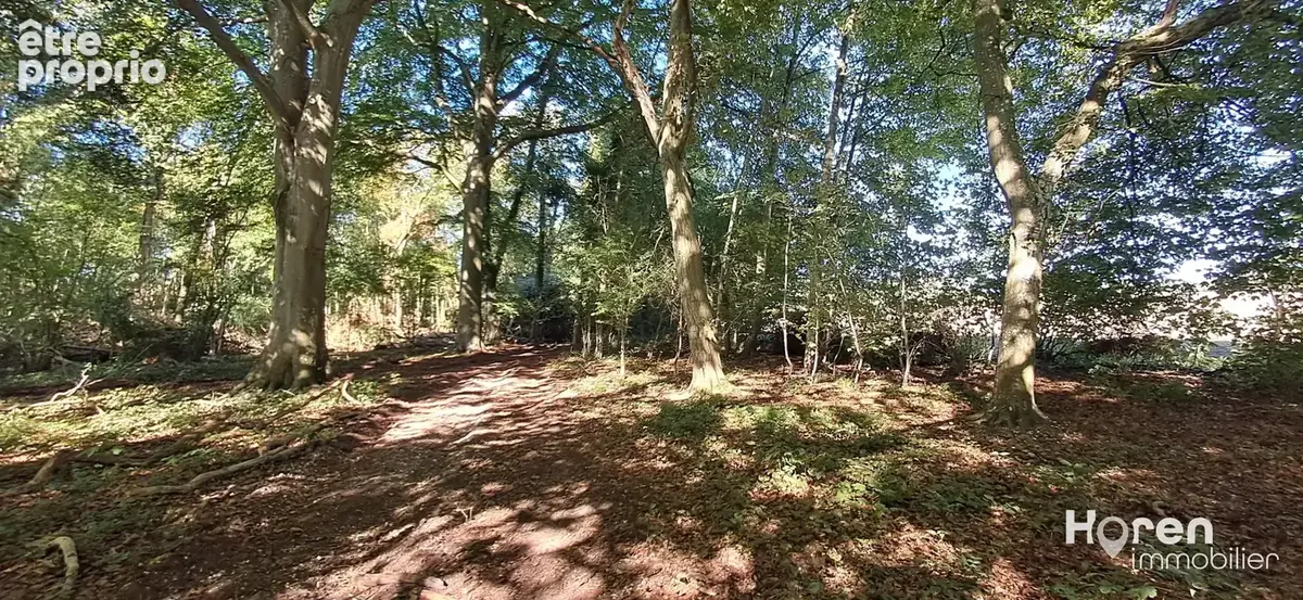 Exclusivite - bois à proximité de villers-sous-ailly - photo 2