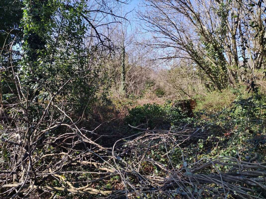 Terrain à PIEGUT-PLUVIERS