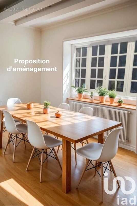 Photo 4 - Maison à CHATEAUNEUF-SUR-CHER