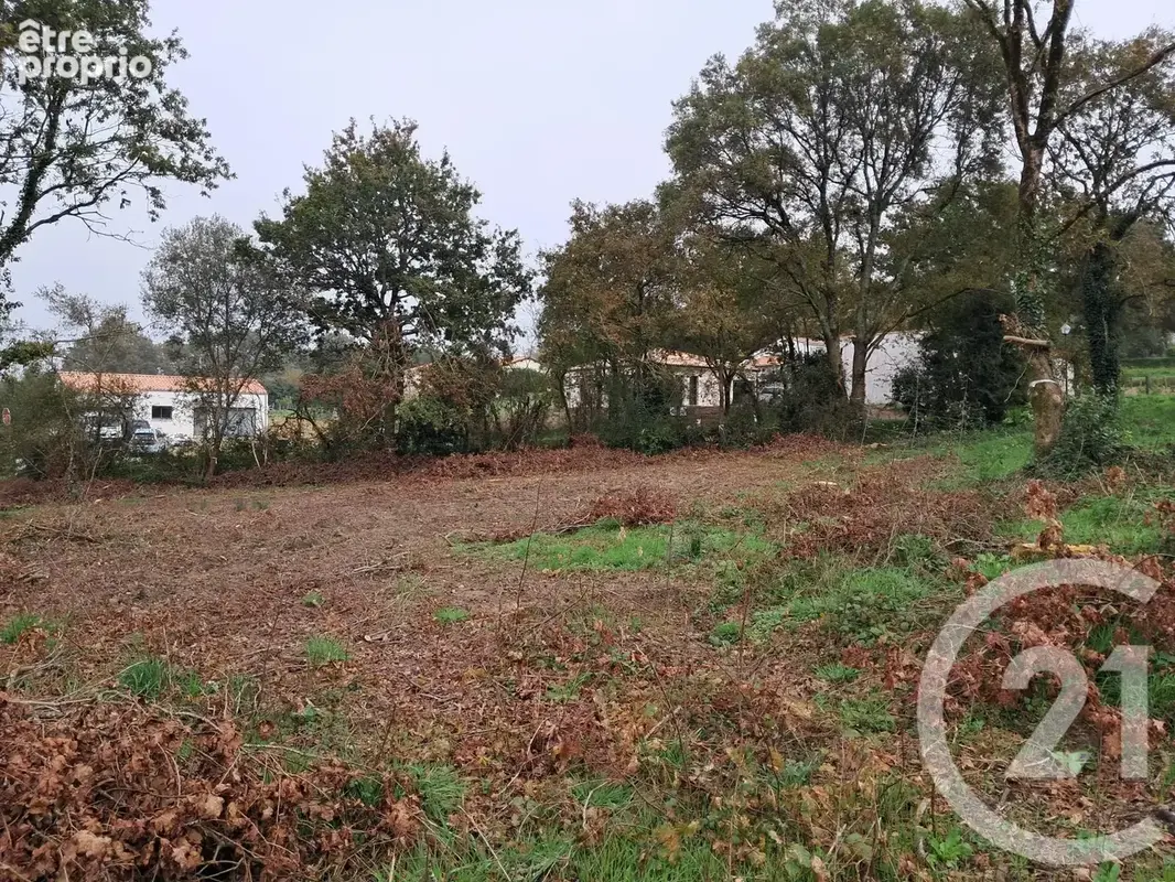 Terrain 399 m² à vendre à Poiroux (85440) - photo 4