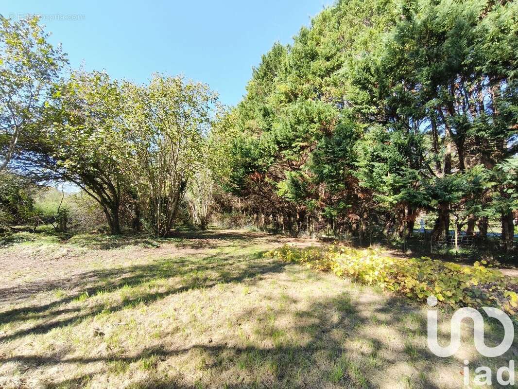 Photo 6 - Maison à TIZAC-DE-LAPOUYADE