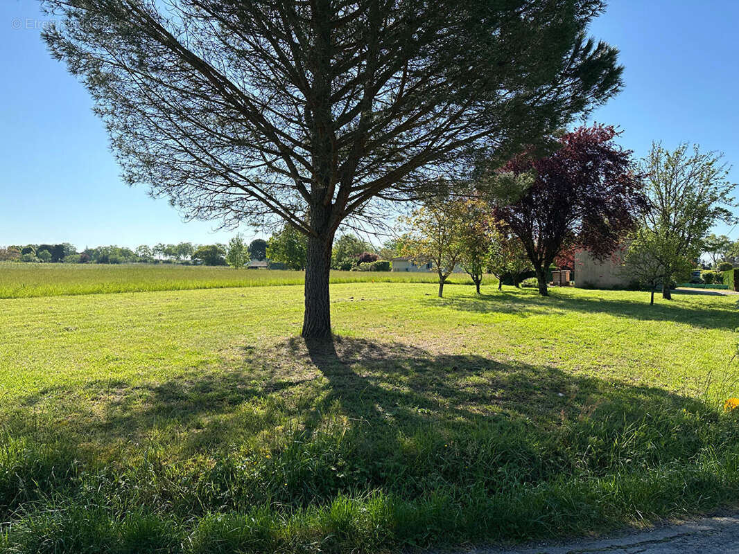 Terrain à GAILLAC