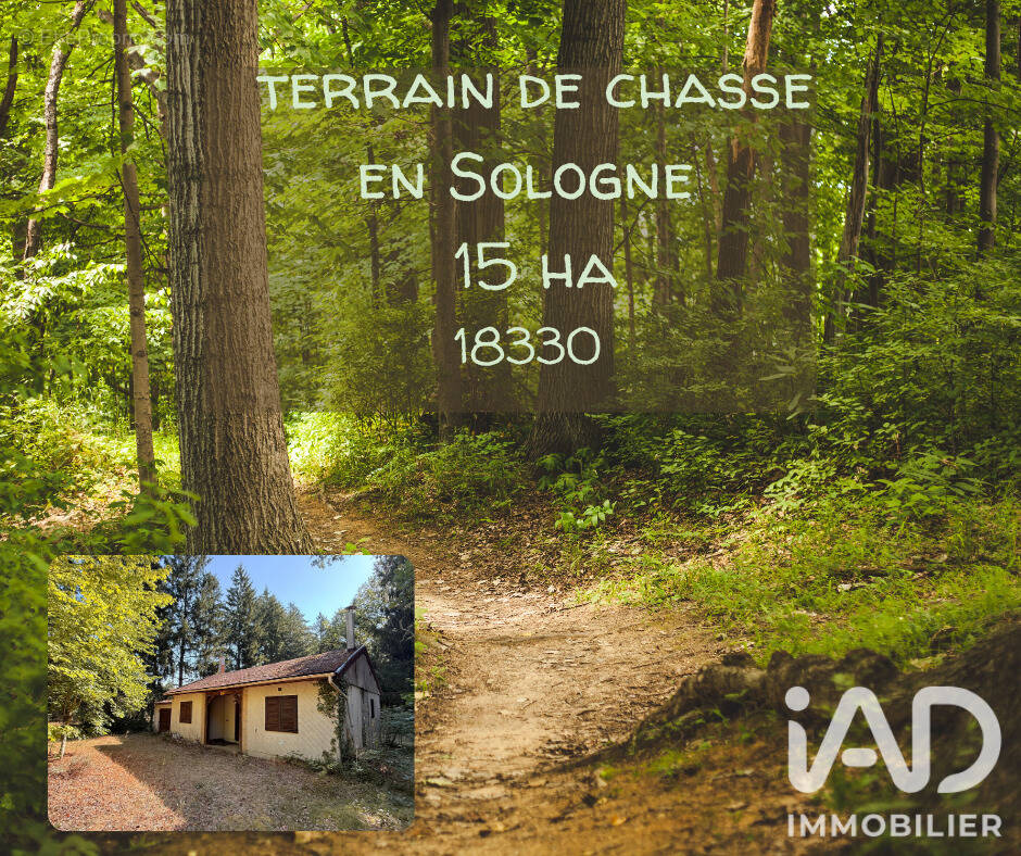 Photo 1 - Terrain à NEUVY-SUR-BARANGEON