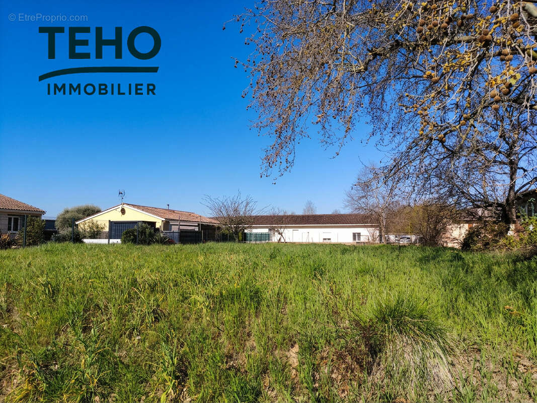 Terrain à COUFOULEUX