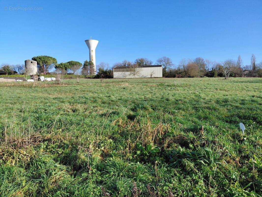 Terrain à PONT-L'ABBE-D'ARNOULT