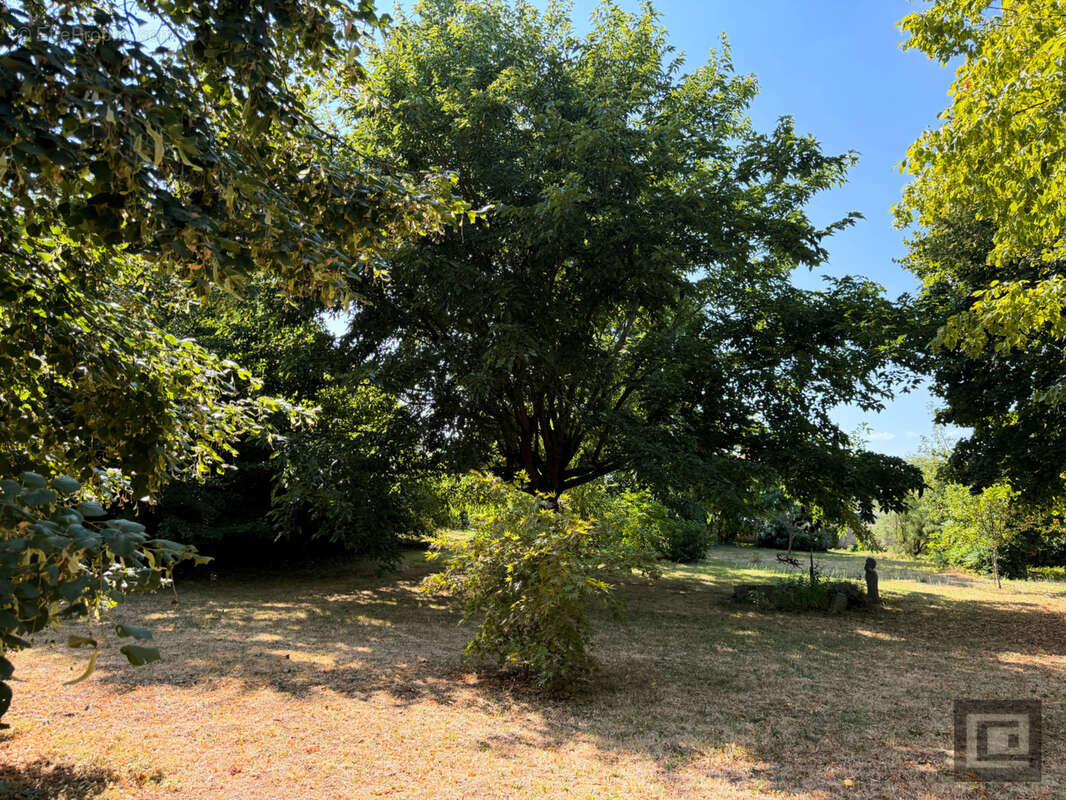 LE JARDIN DU TULIPIER- Une maison Bourguignonne & son jardin bucolique - photo 18