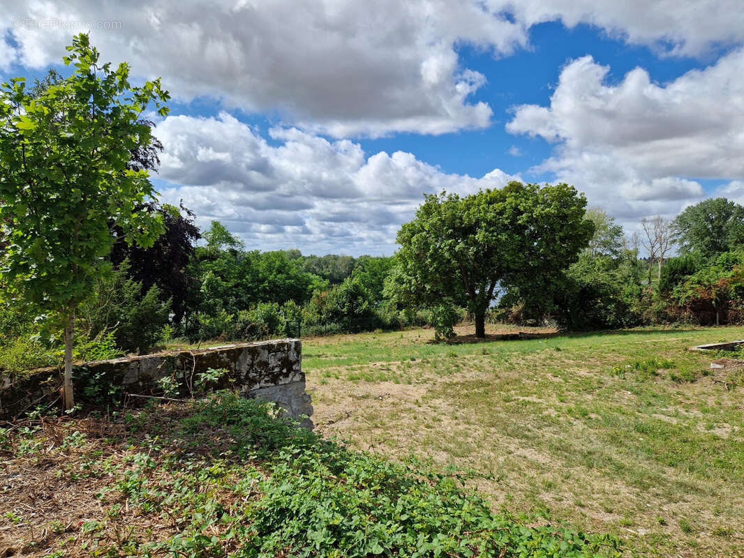 Vente exceptionnel terrain constructible bord de loire - photo 5