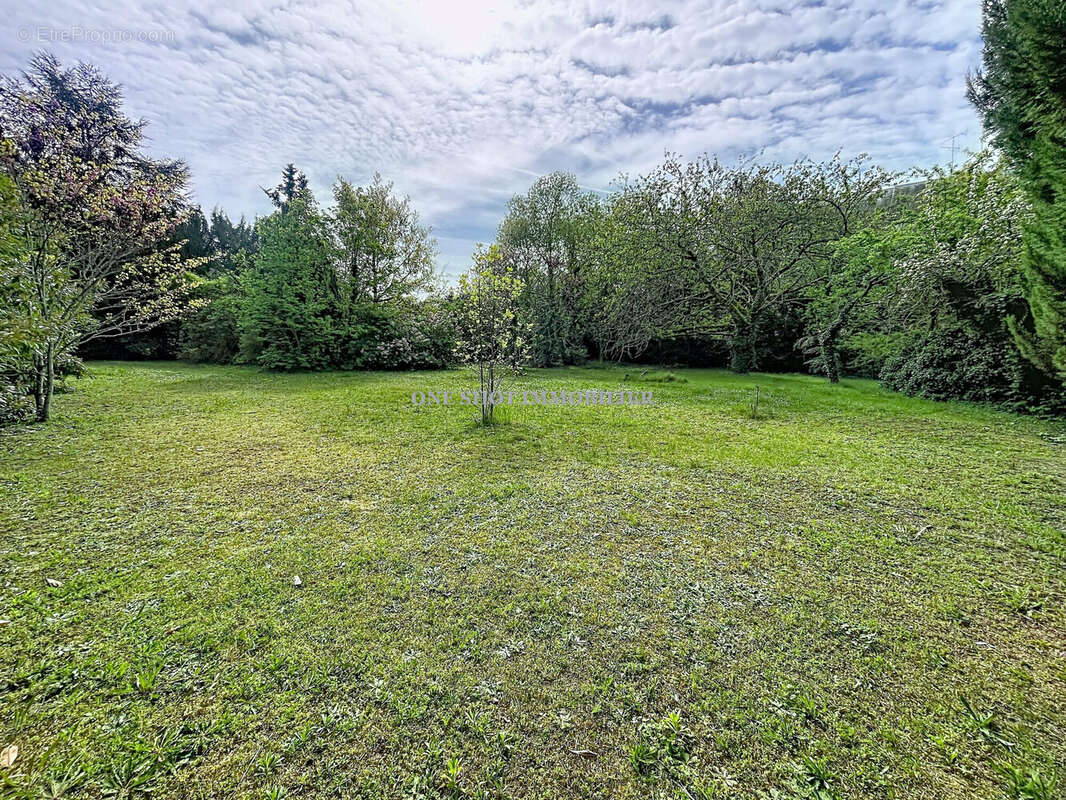Terrain à ORLEANS